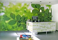 F-vinil impressio_loliba